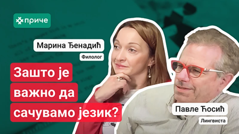 Опис слике за причу